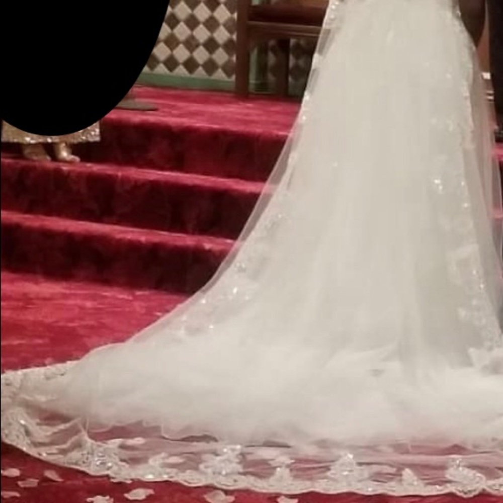 Beautiful Cathedral Veil
